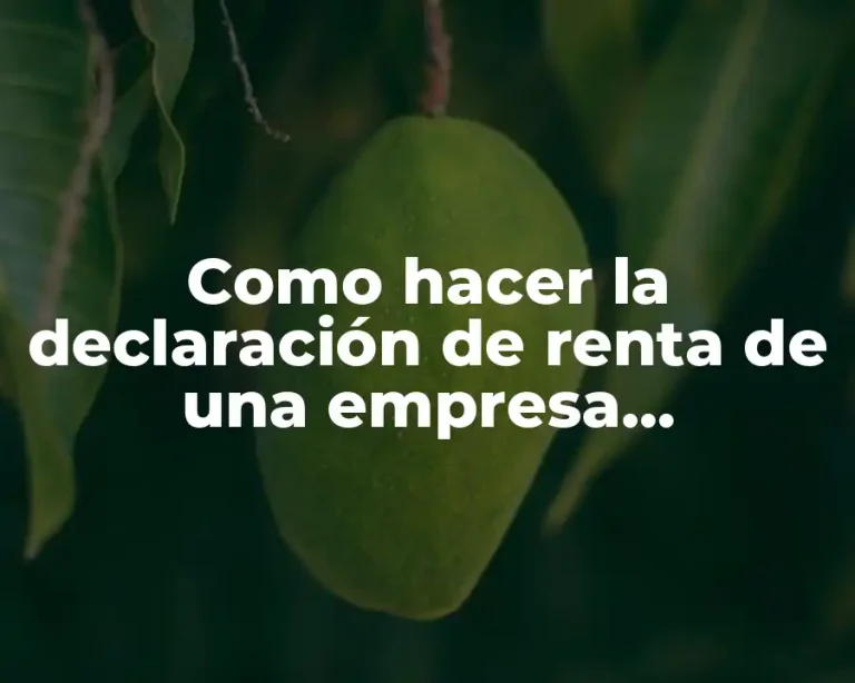 Como hacer la declaración de renta de una empresa constructora