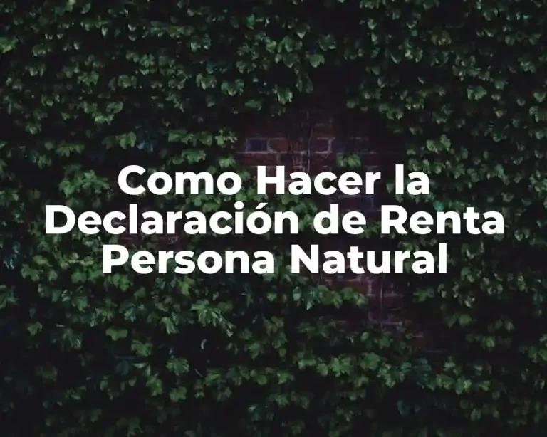 Como Hacer la Declaración de Renta Persona Natural