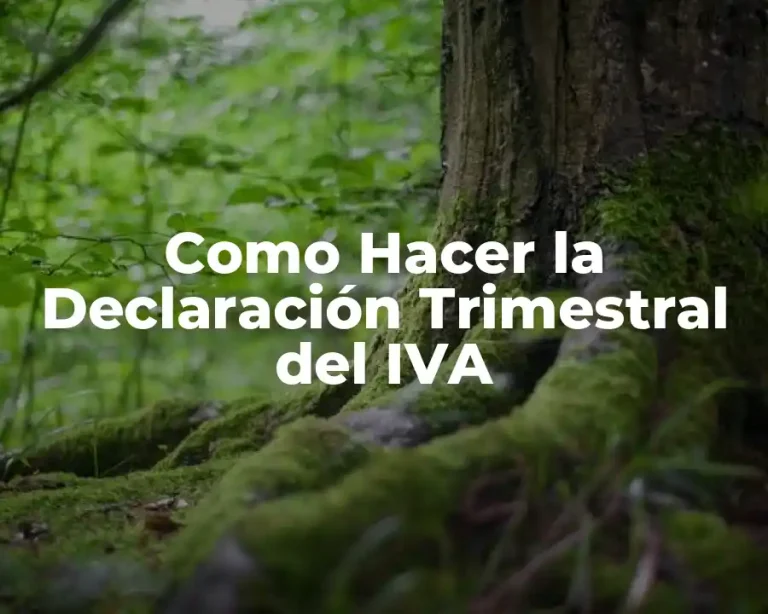 Como Hacer la Declaración Trimestral del IVA