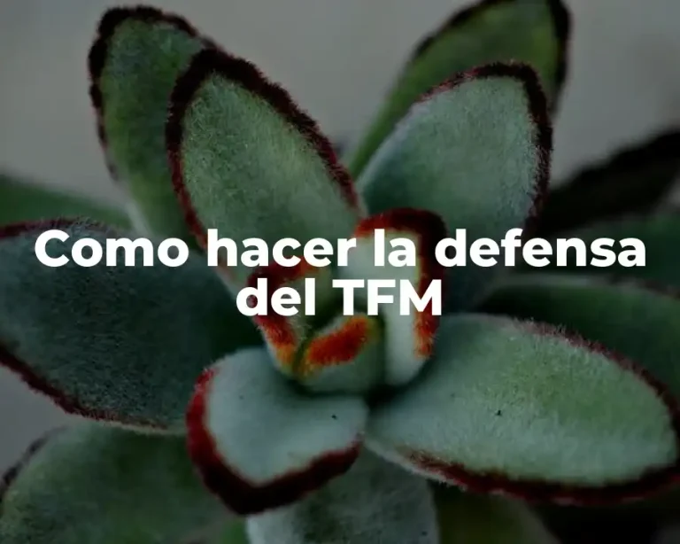 Como hacer la defensa del TFM