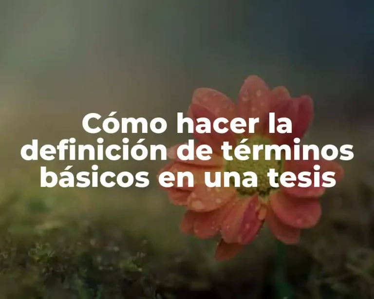 Cómo hacer la definición de términos básicos en una tesis