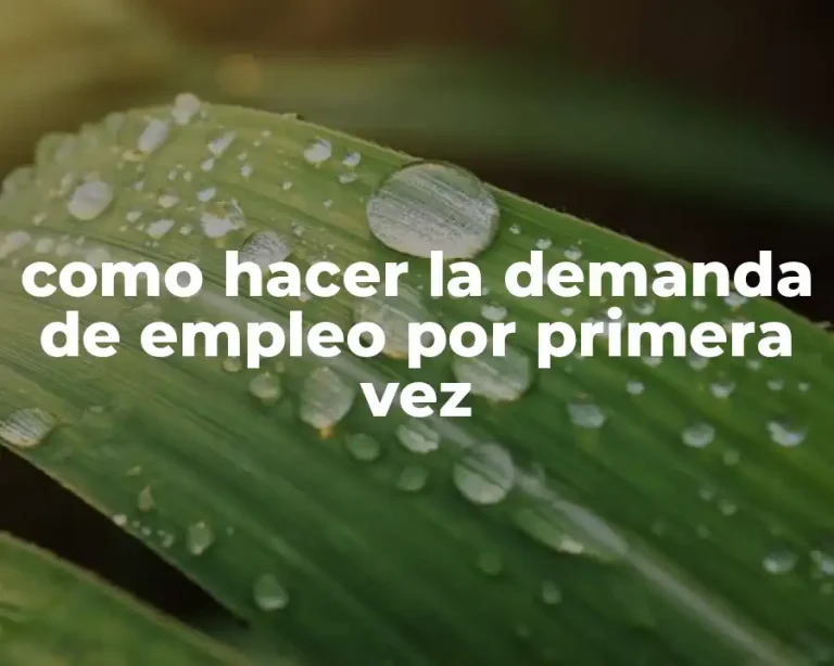 como hacer la demanda de empleo por primera vez