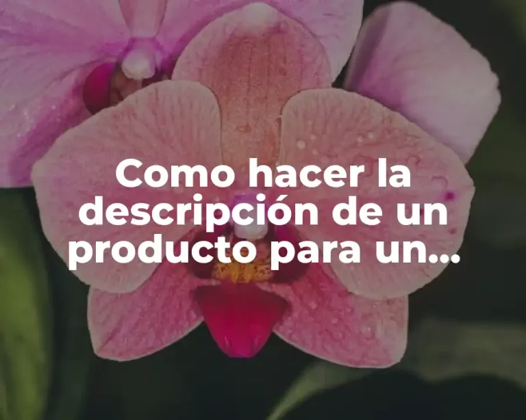 Como hacer la descripción de un producto para un proyecto