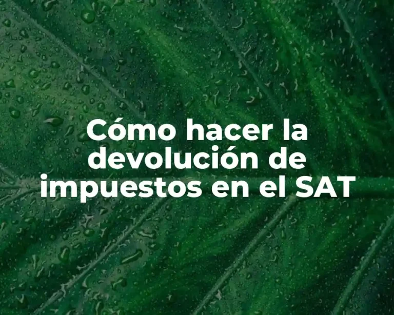 Cómo hacer la devolución de impuestos en el SAT