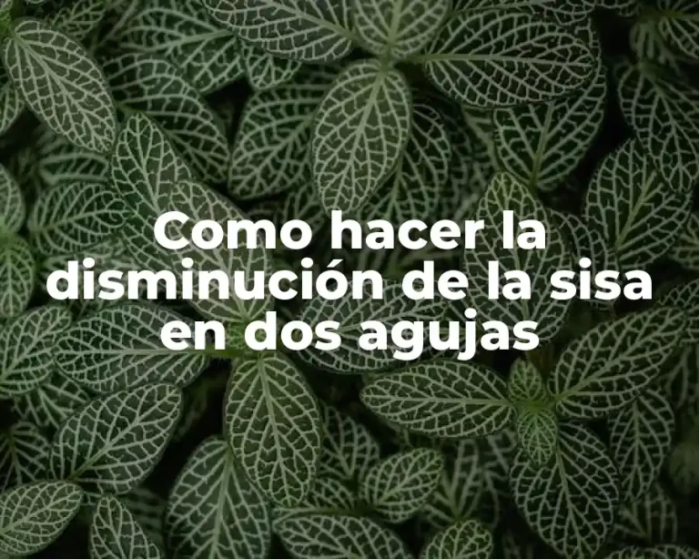 Como hacer la disminución de la sisa en dos agujas