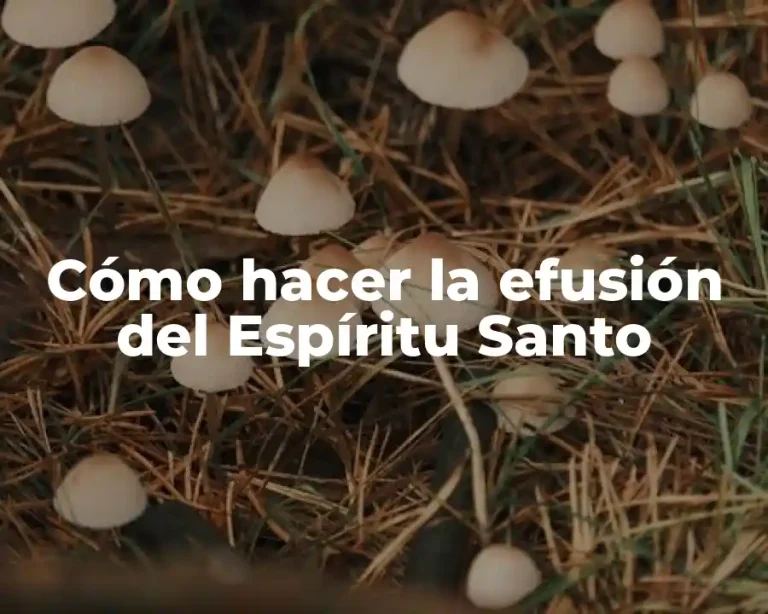 Cómo hacer la efusión del Espíritu Santo