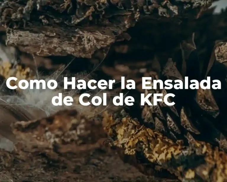 Como Hacer la Ensalada de Col de KFC