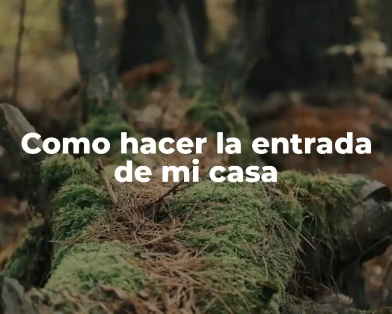 Como hacer la entrada de mi casa