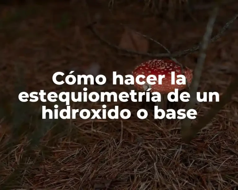 Cómo hacer la estequiometría de un hidroxido o base
