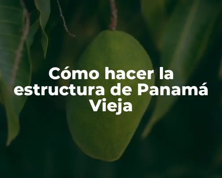 Cómo hacer la estructura de Panamá Vieja