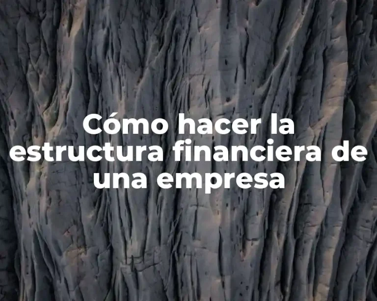 Cómo hacer la estructura financiera de una empresa