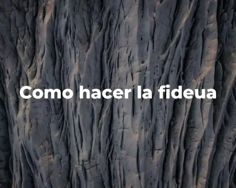 Como hacer la fideua