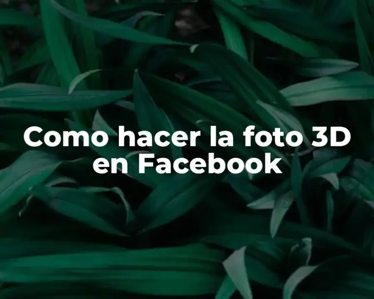 Como hacer la foto 3D en Facebook