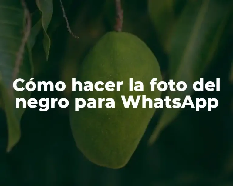 Cómo hacer la foto del negro para WhatsApp