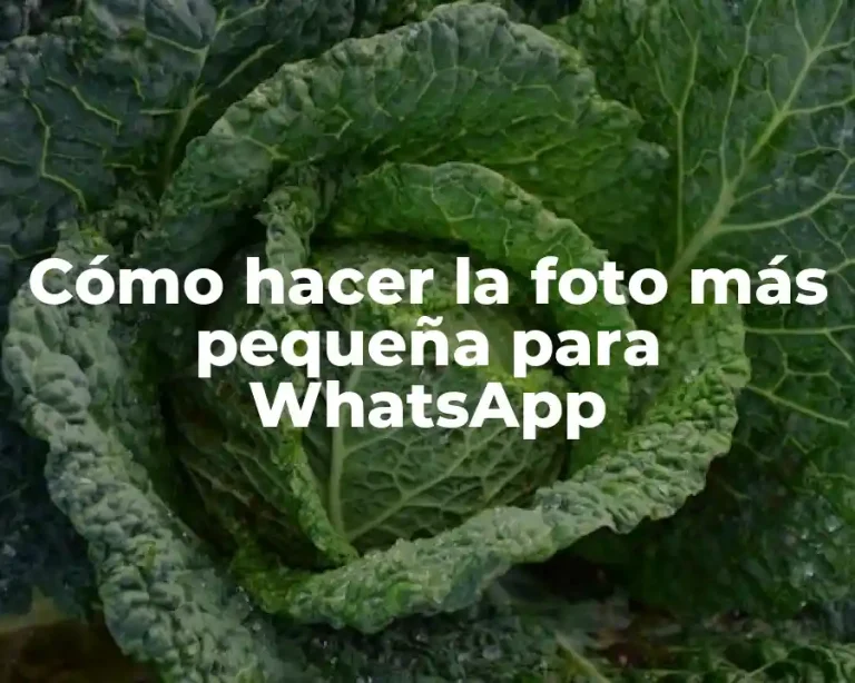 Cómo hacer la foto más pequeña para WhatsApp