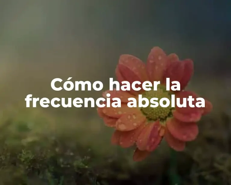Cómo hacer la frecuencia absoluta