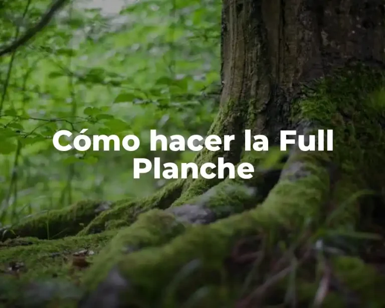 Cómo hacer la Full Planche