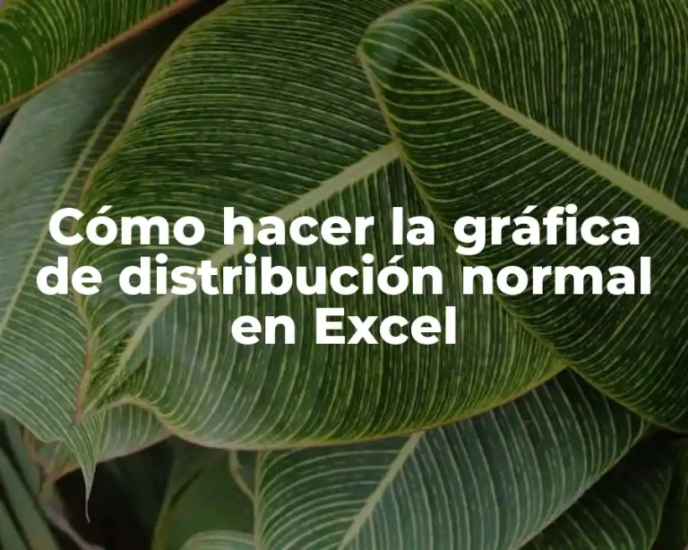 Cómo hacer la gráfica de distribución normal en Excel