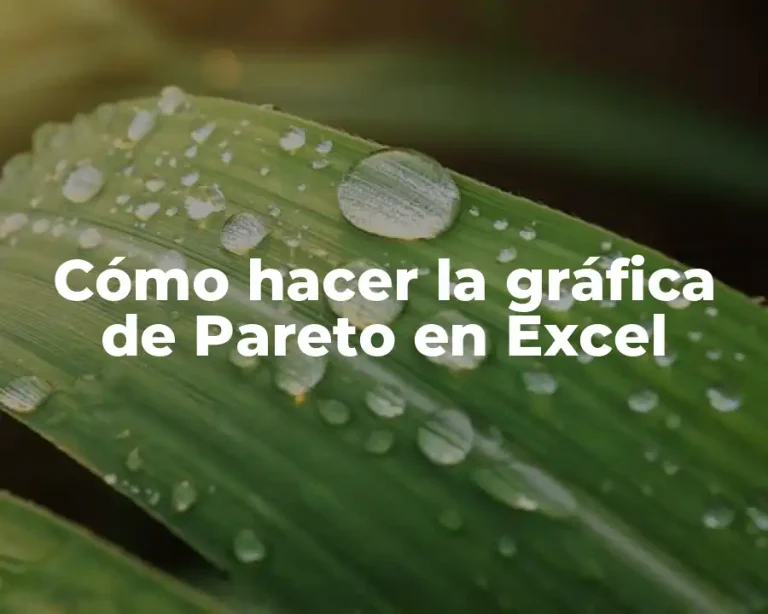 Cómo hacer la gráfica de Pareto en Excel