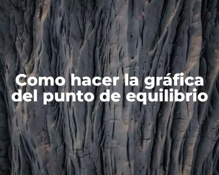 Como hacer la gráfica del punto de equilibrio