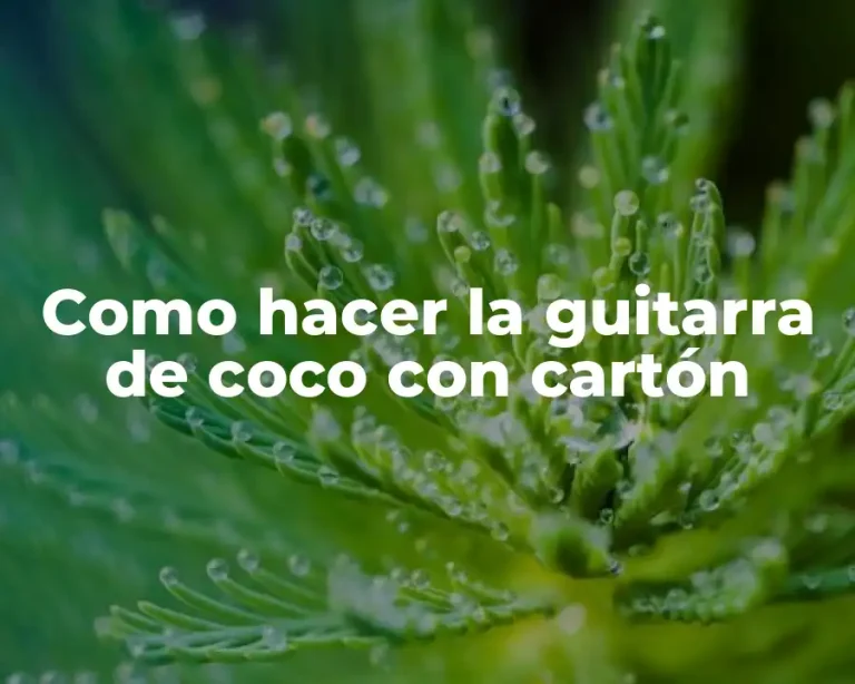 Como hacer la guitarra de coco con cartón