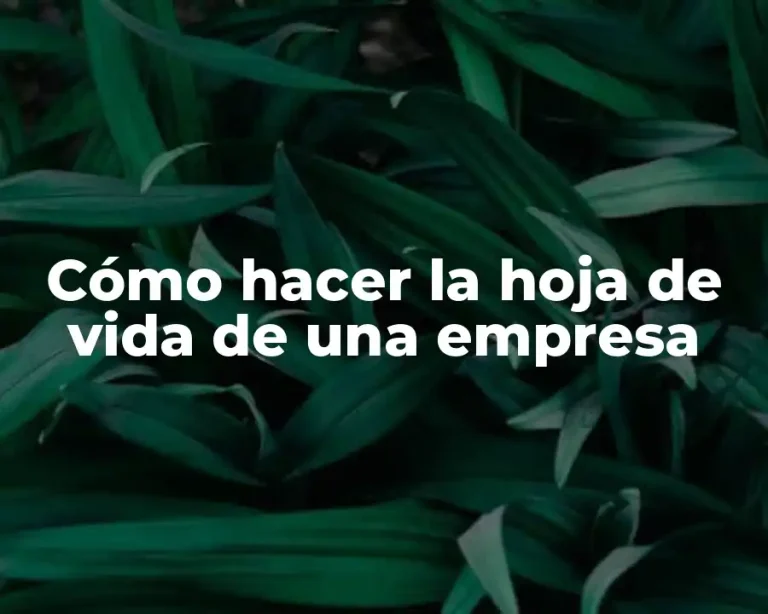 Cómo hacer la hoja de vida de una empresa