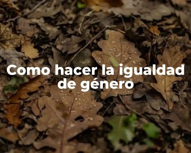 Como hacer la igualdad de género