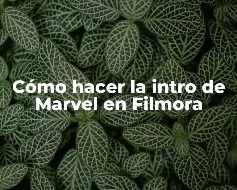 Cómo hacer la intro de Marvel en Filmora