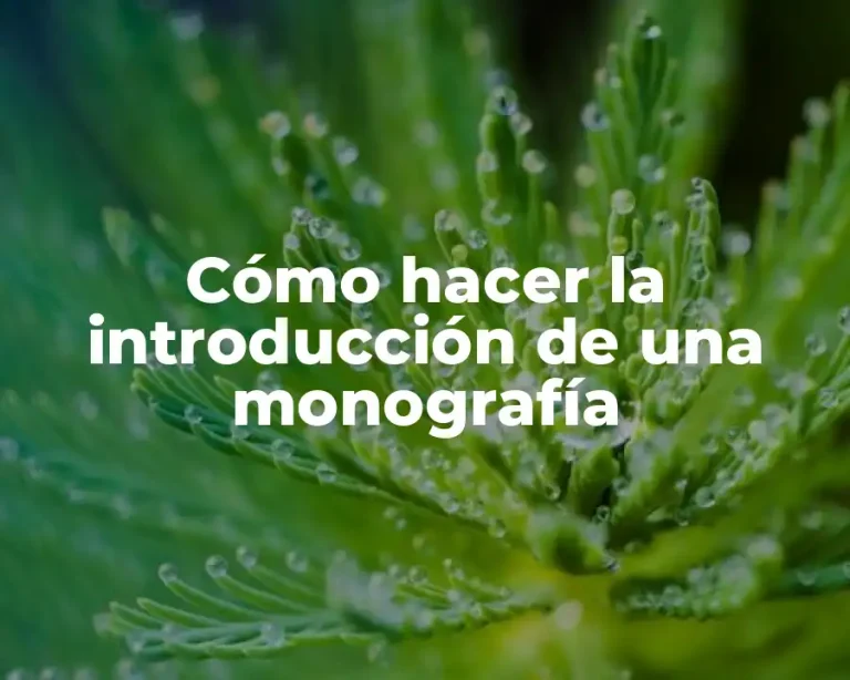 Cómo hacer la introducción de una monografía