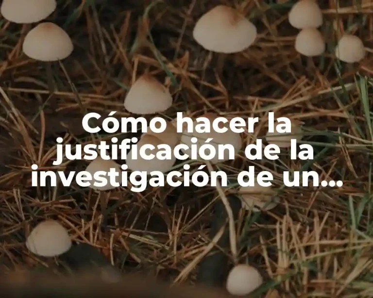 Cómo hacer la justificación de la investigación de un proyecto