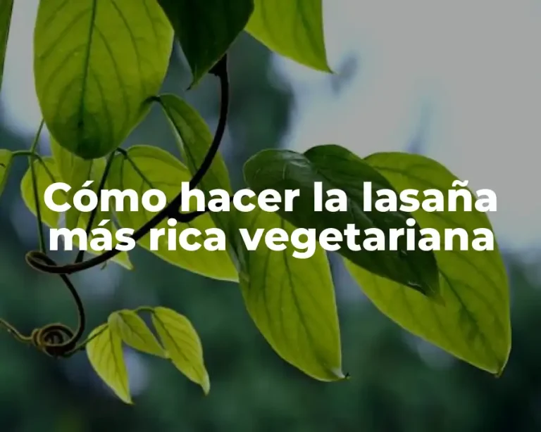 Cómo hacer la lasaña más rica vegetariana