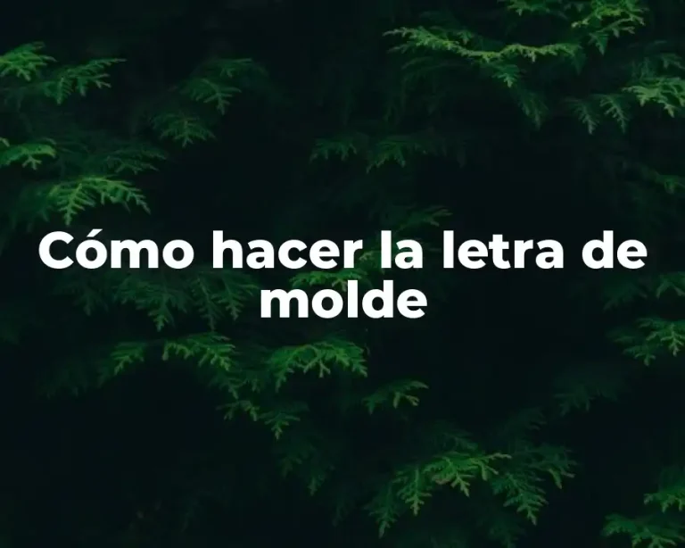 Cómo hacer la letra de molde
