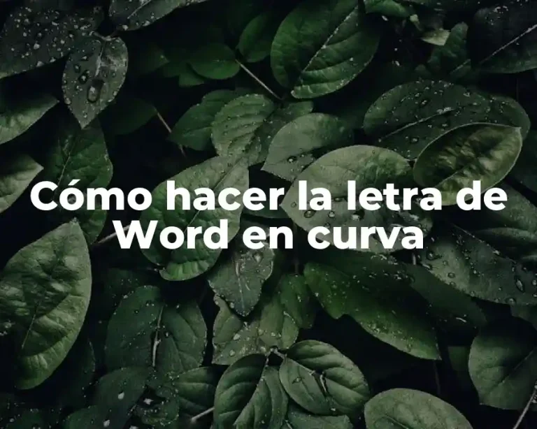 Cómo hacer la letra de Word en curva