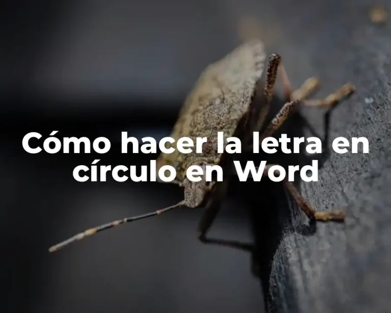 Cómo hacer la letra en círculo en Word