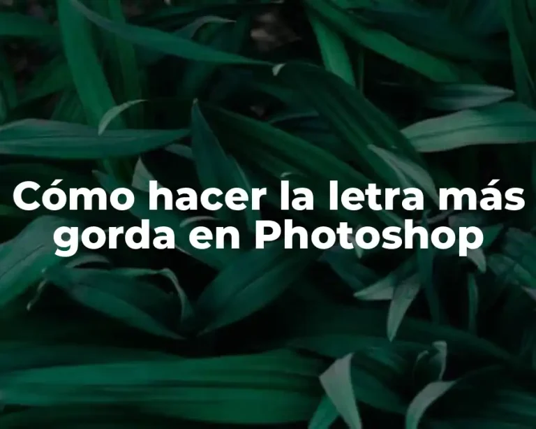 Cómo hacer la letra más gorda en Photoshop