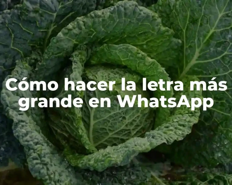 Cómo hacer la letra más grande en WhatsApp