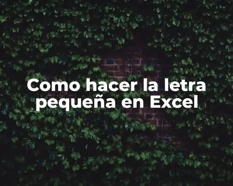 Como hacer la letra pequeña en Excel