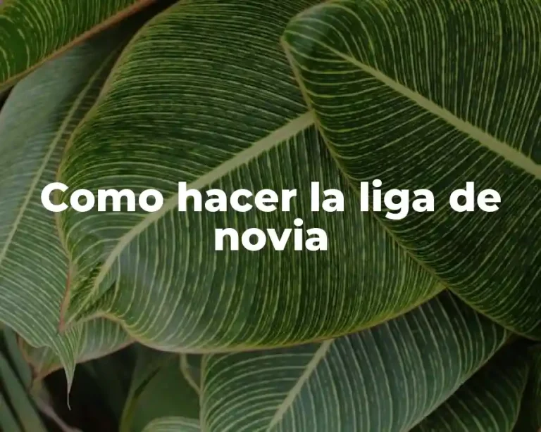 Como hacer la liga de novia