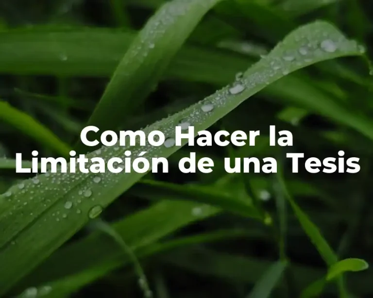Como Hacer la Limitación de una Tesis