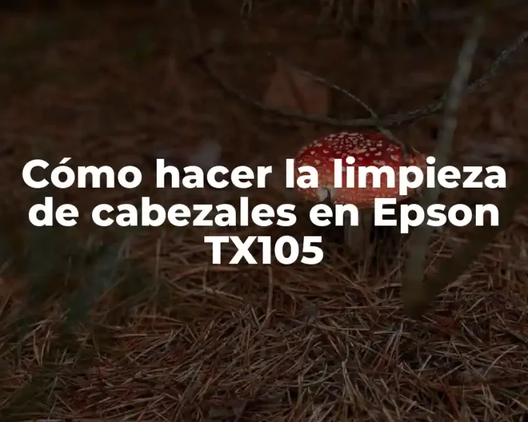 Cómo hacer la limpieza de cabezales en Epson TX105