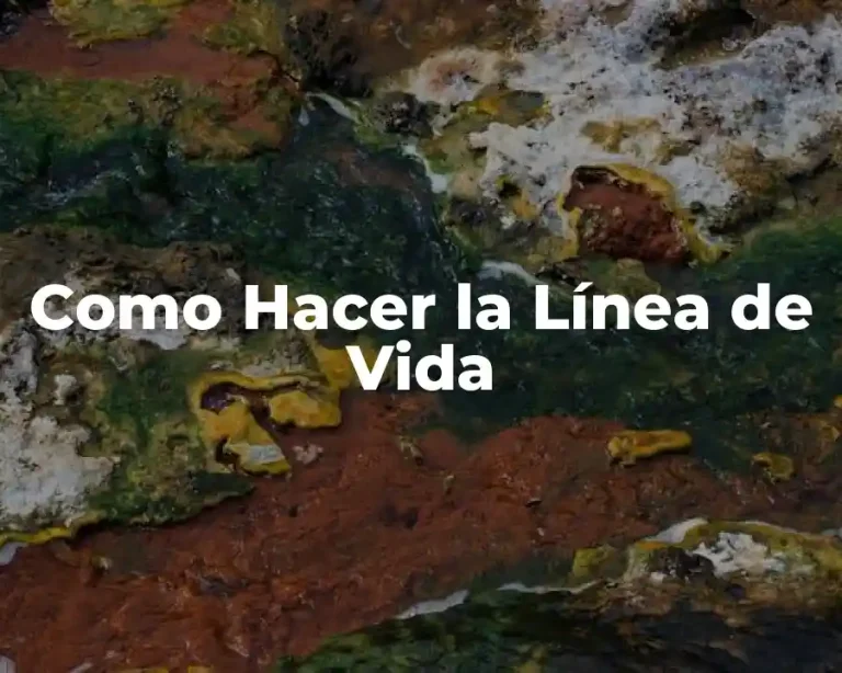 Como Hacer la Línea de Vida