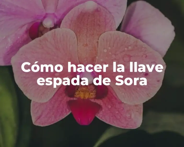 Cómo hacer la llave espada de Sora