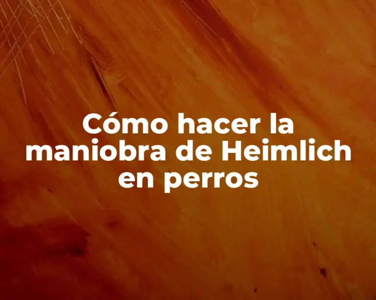 Cómo hacer la maniobra de Heimlich en perros