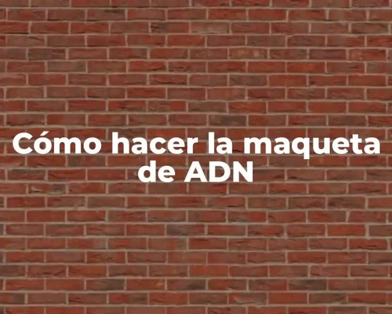 Cómo hacer la maqueta de ADN