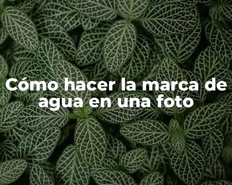 Cómo hacer la marca de agua en una foto