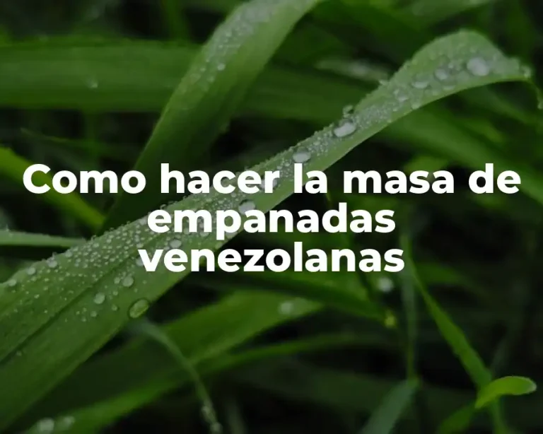 Como hacer la masa de empanadas venezolanas