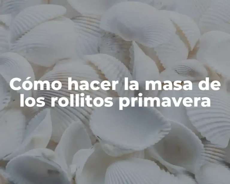 Cómo hacer la masa de los rollitos primavera