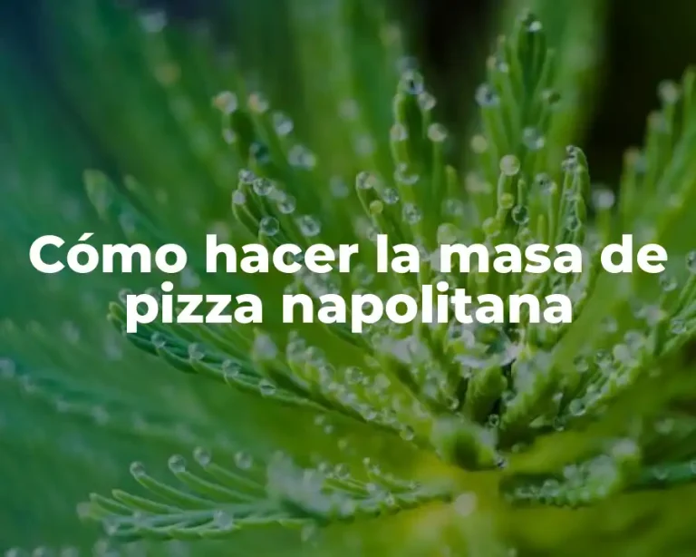 Cómo hacer la masa de pizza napolitana