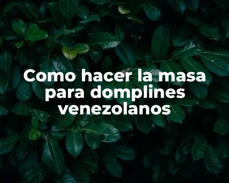 Como hacer la masa para domplines venezolanos