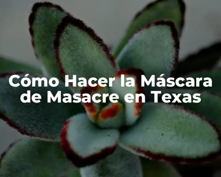 Cómo Hacer la Máscara de Masacre en Texas